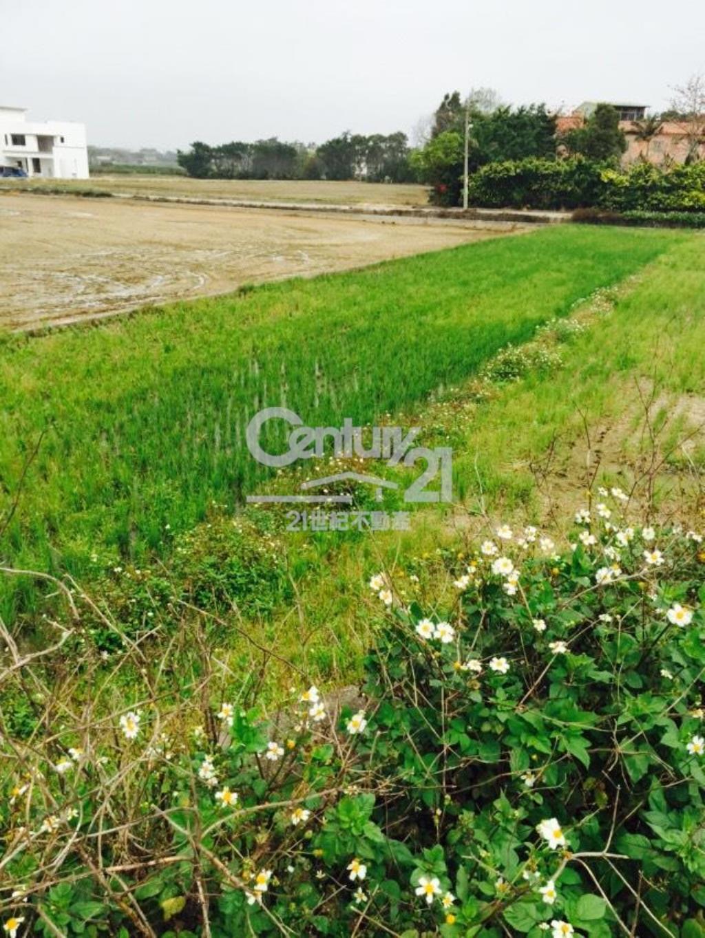 德盛623坪田朝南