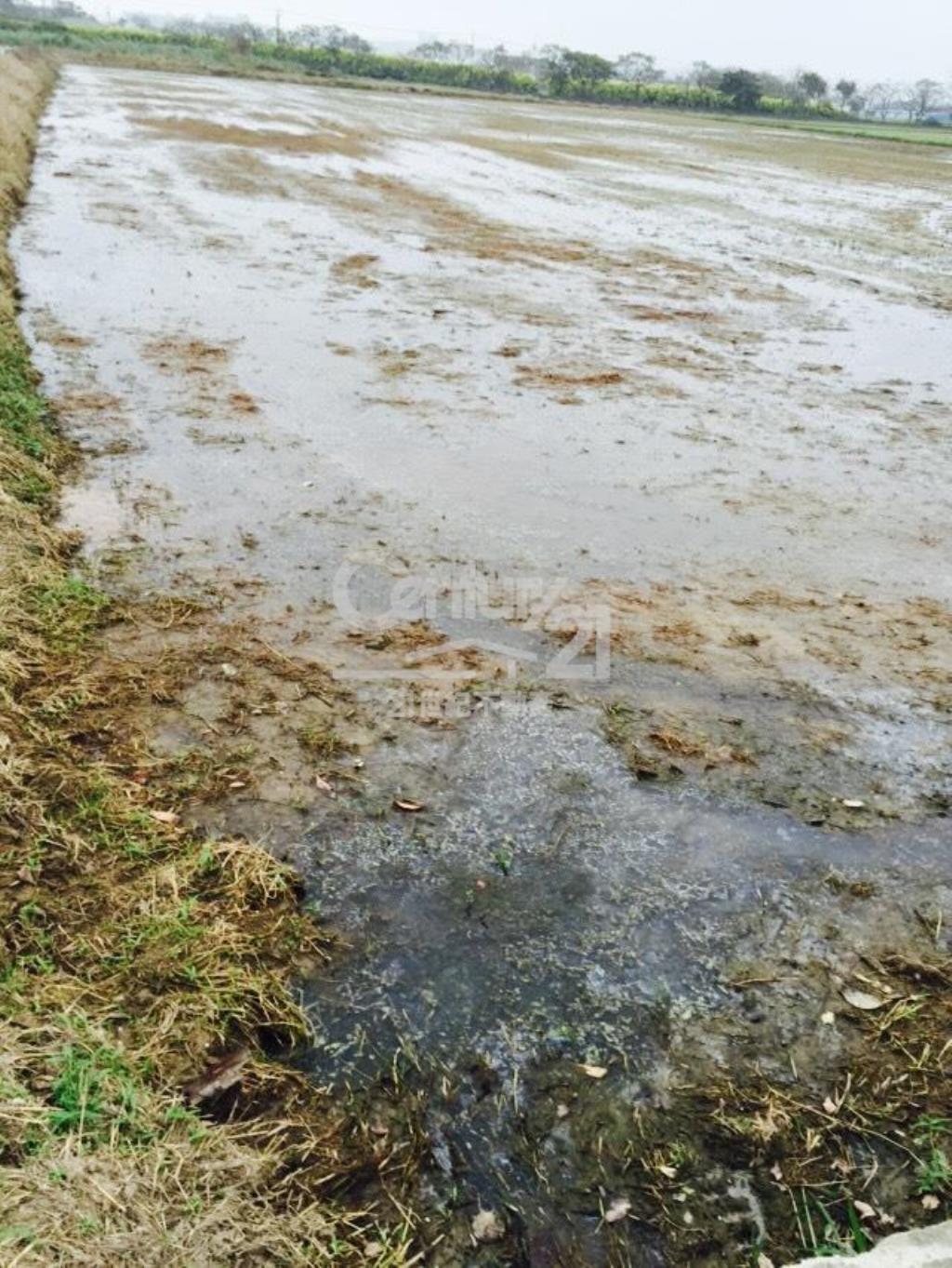 德盛623坪田朝南