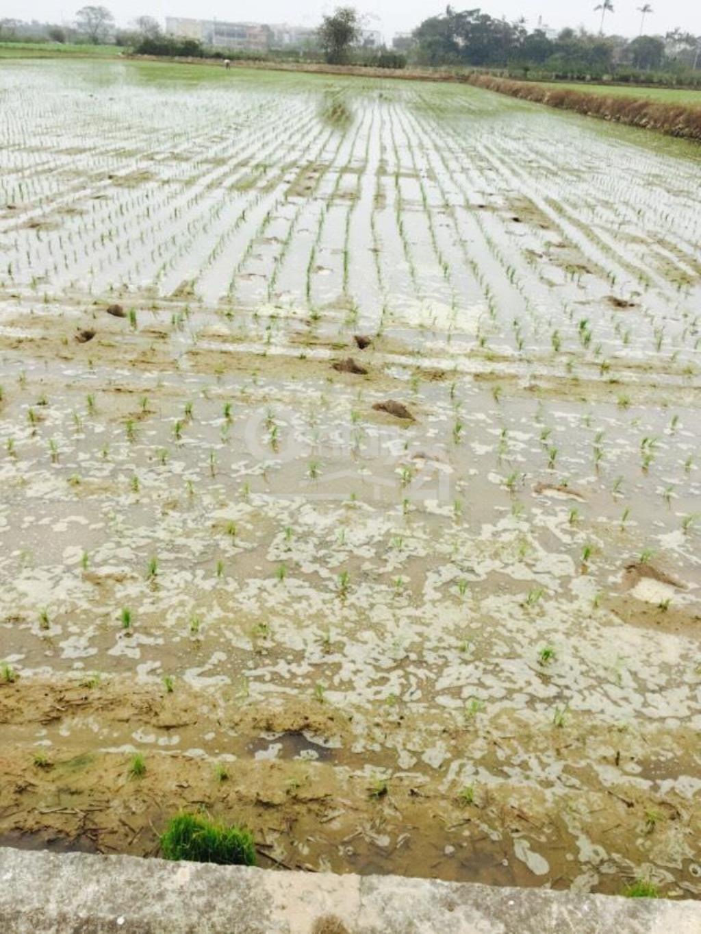 德盛623坪田朝南