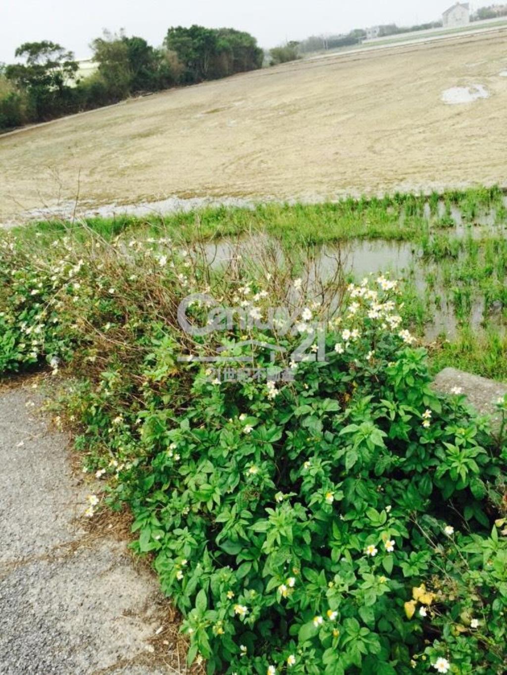 德盛623坪田朝南