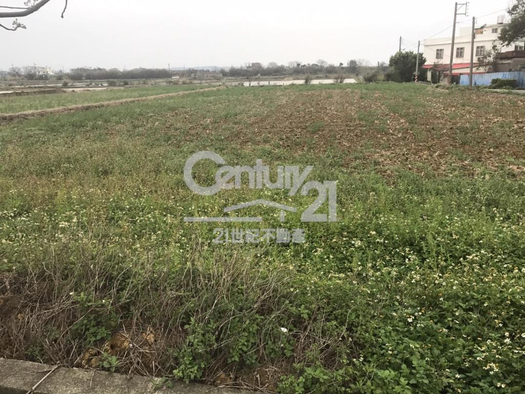 德和路角田1391坪