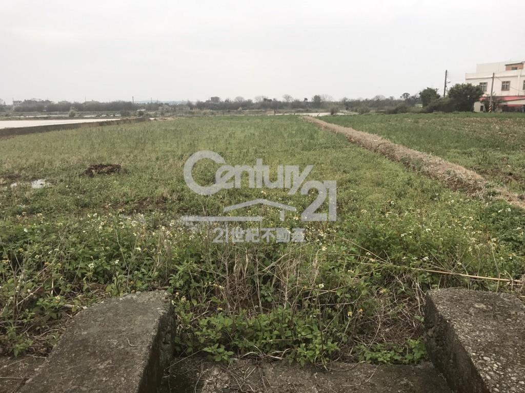 德和路角田1391坪