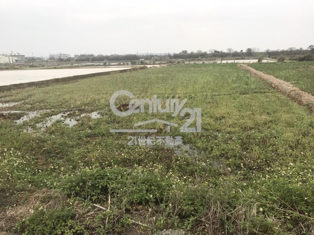 德和路角田1391坪