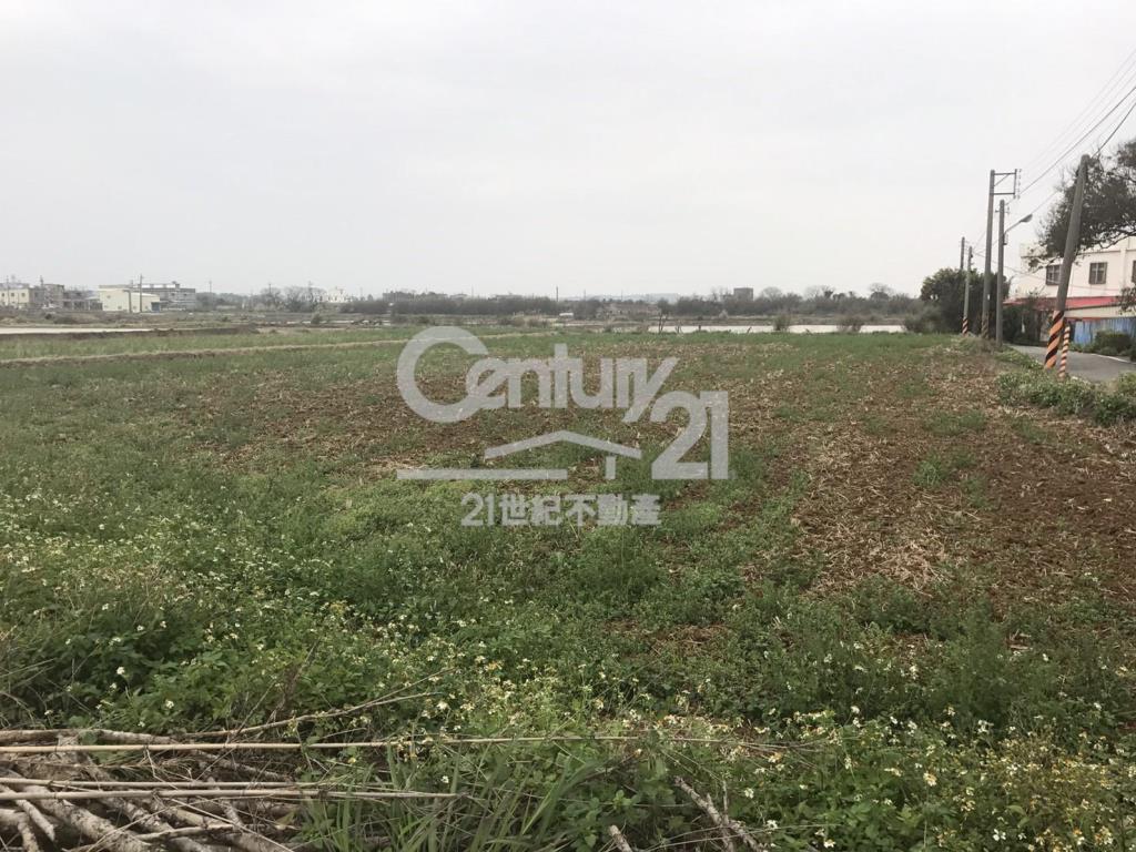 德和路角田1391坪