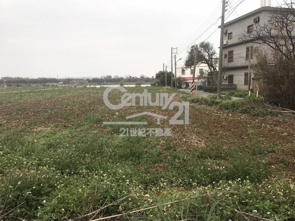 德和路角田1391坪