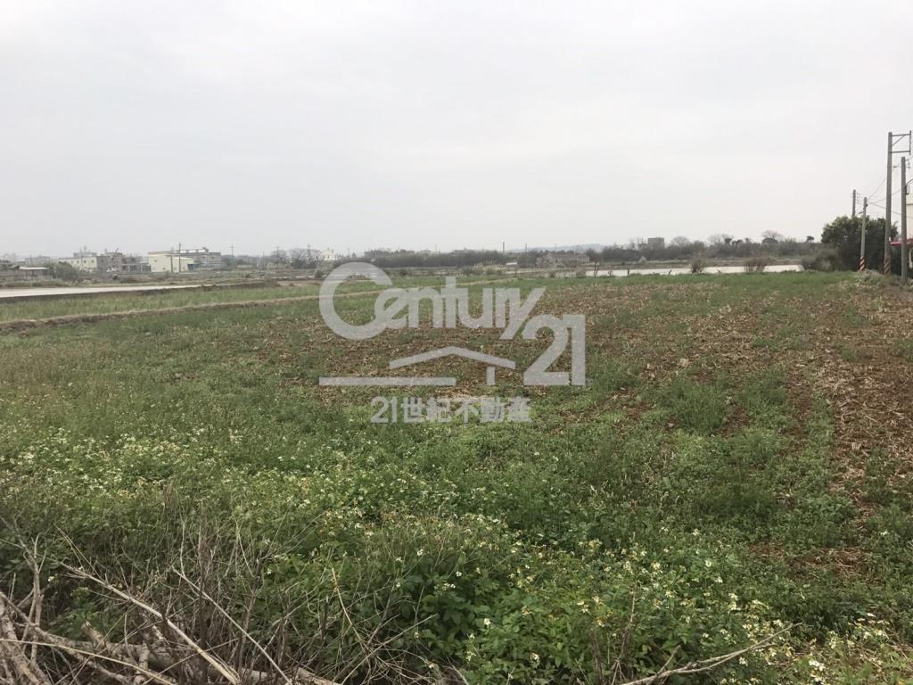 德和路角田1391坪