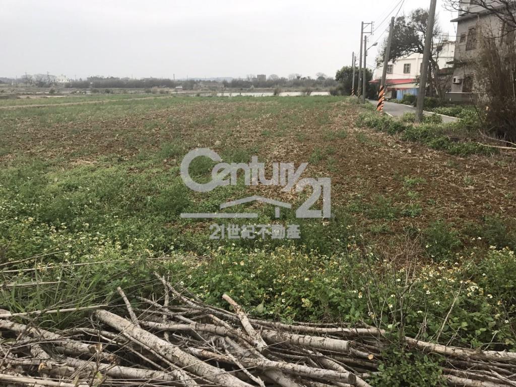 德和路角田1391坪