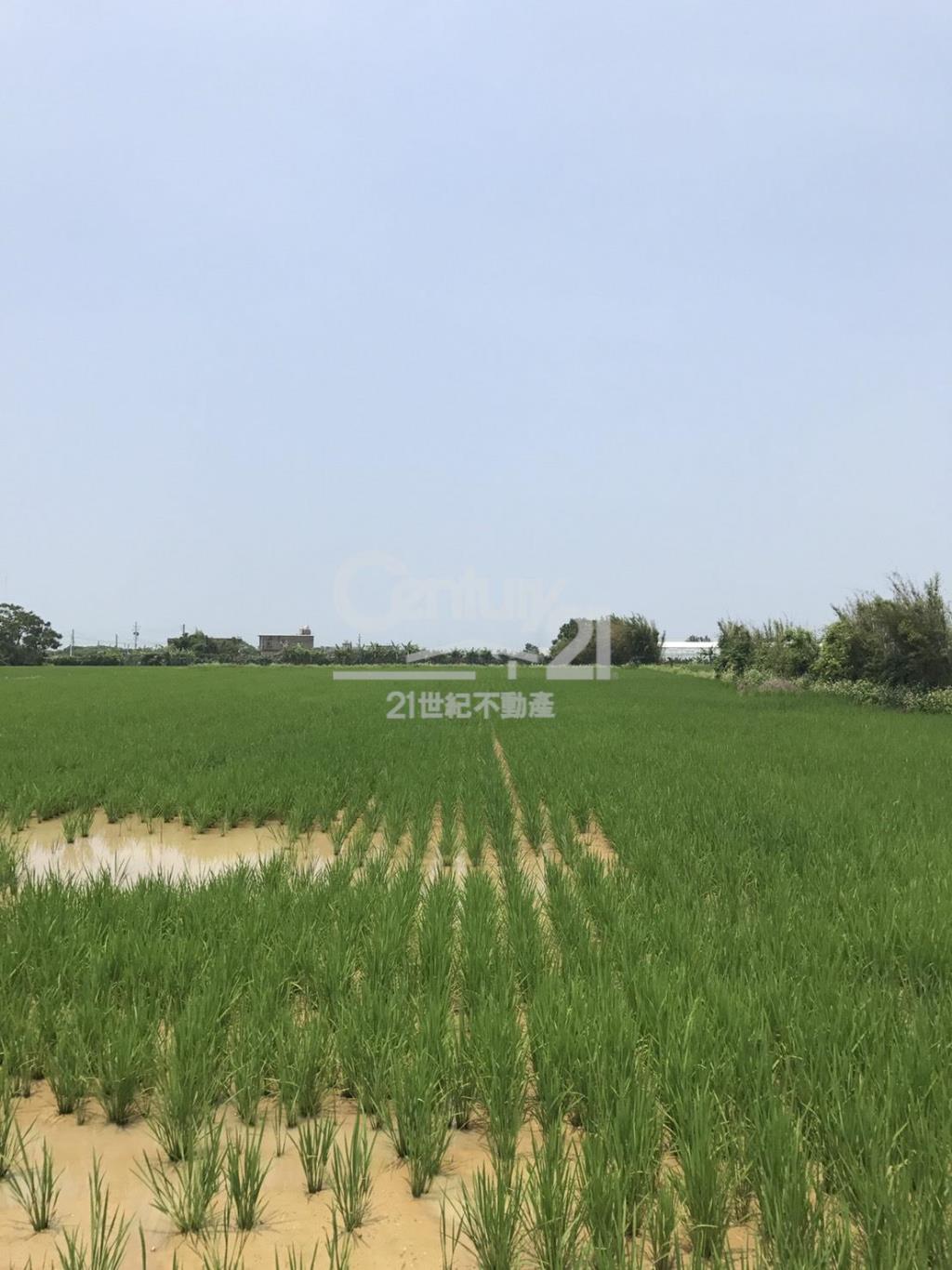 德盛段都計田440坪