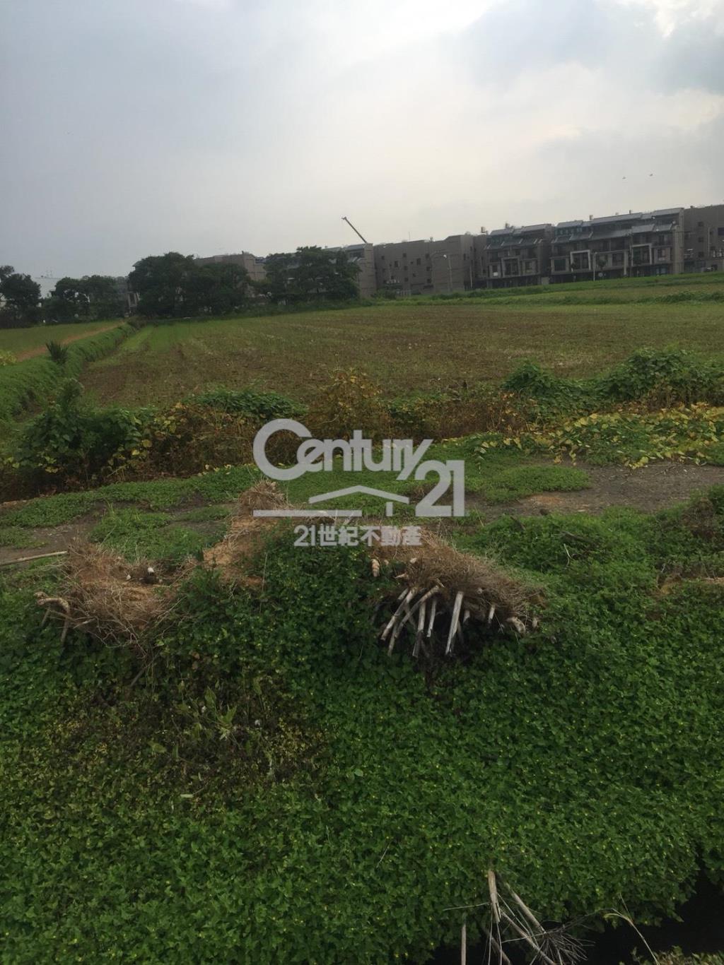 楊湖路方正田654坪