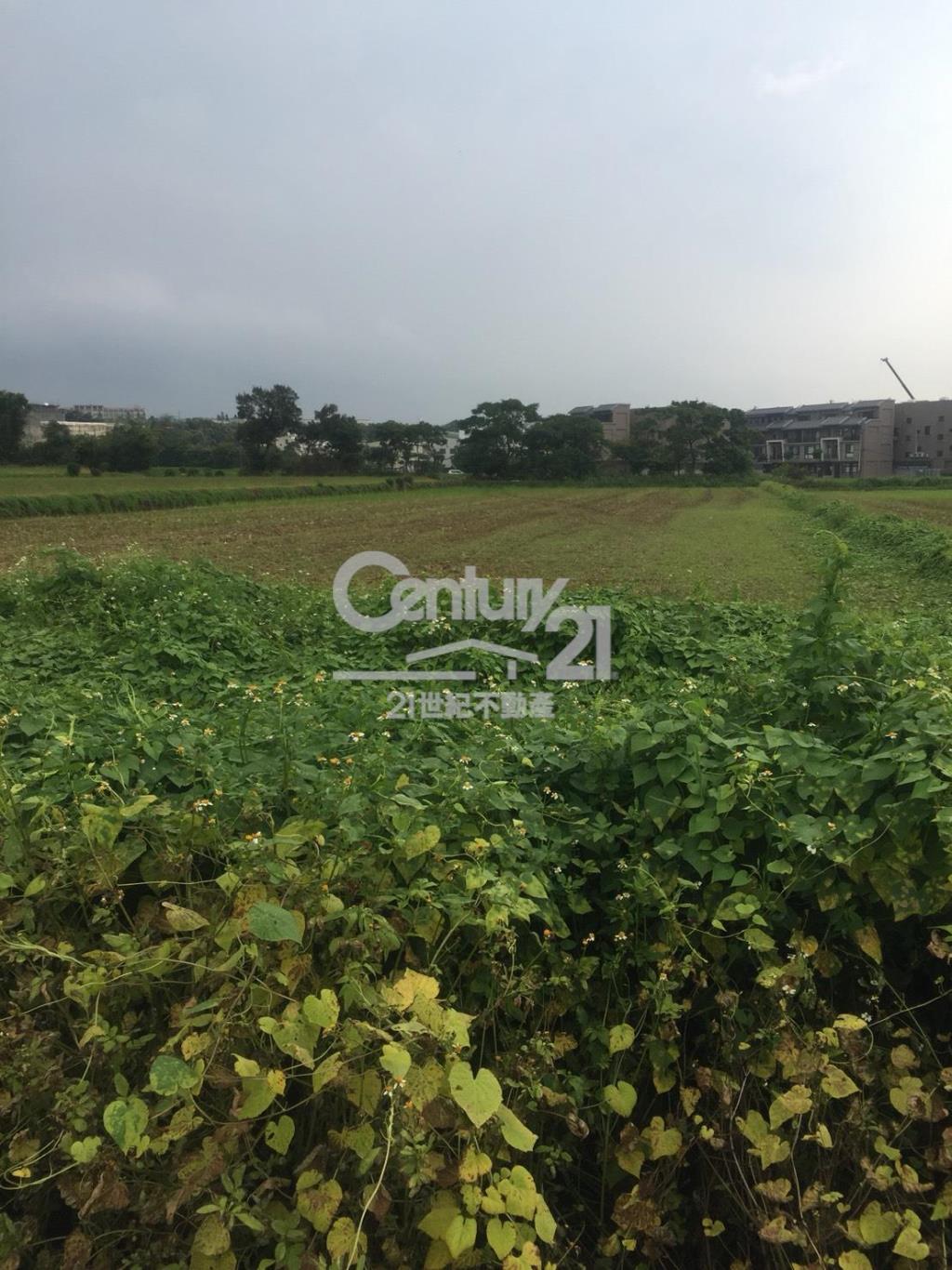 楊湖路方正田654坪