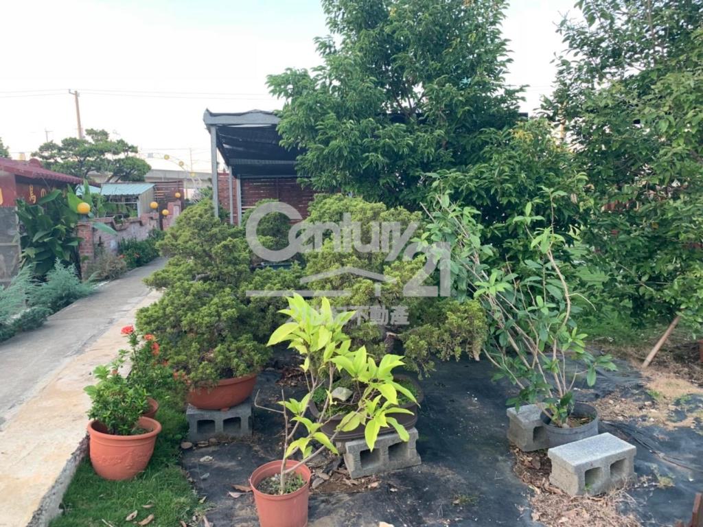 桃園1392坪頂級園藝休閒農場