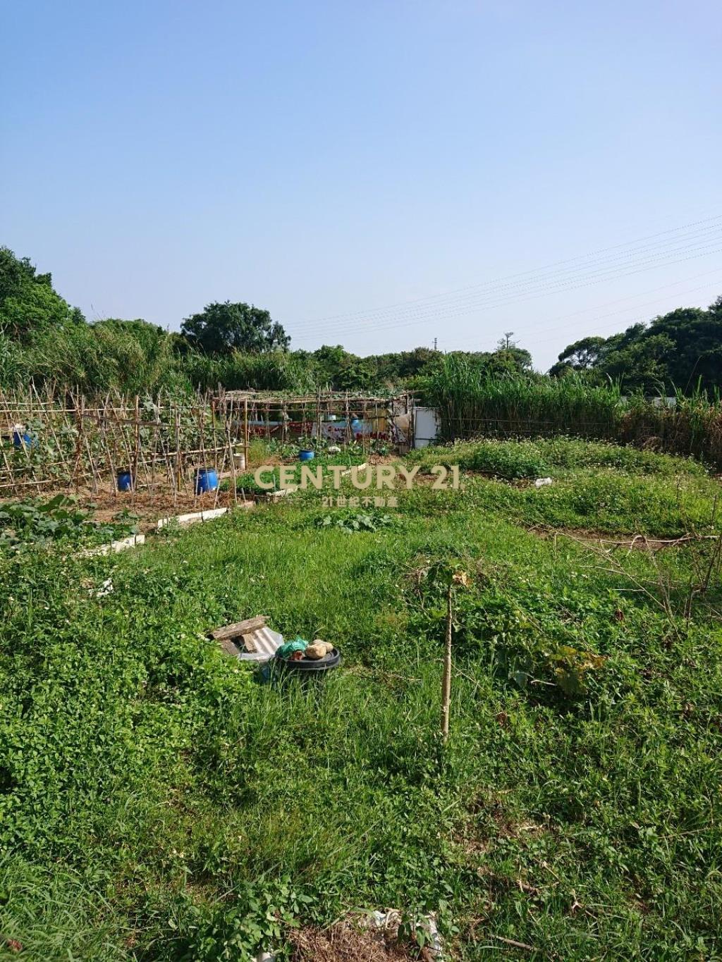 湖口達生路都計內美田