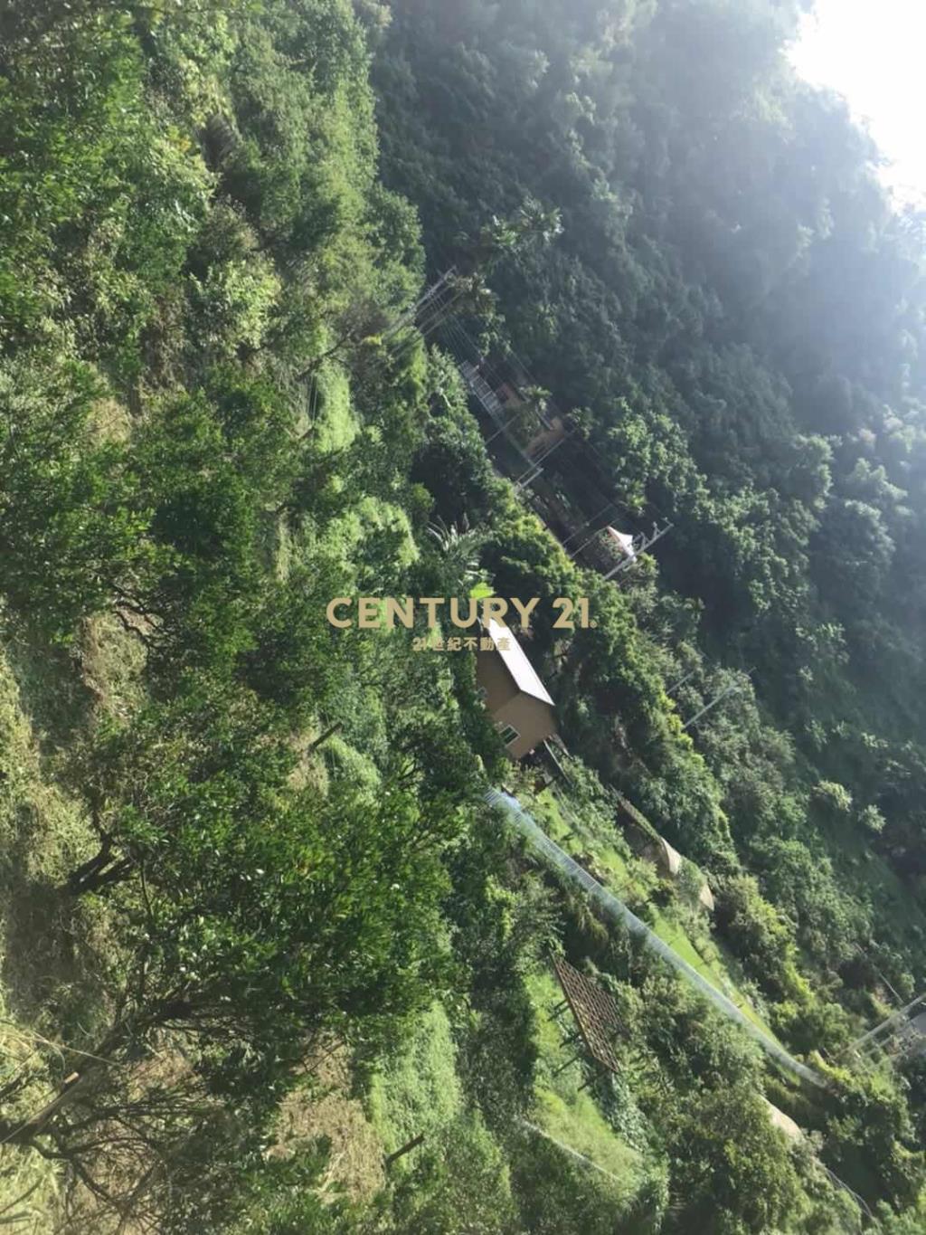 苗栗山坡地459坪