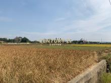 新豐農地2531坪