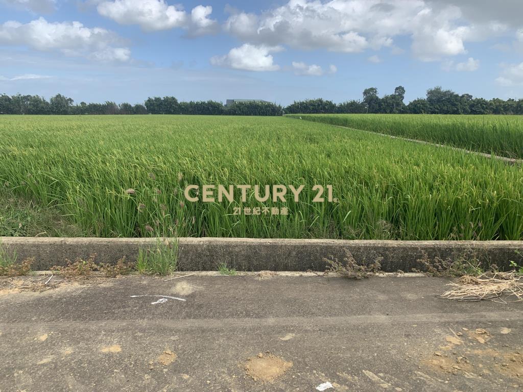 桃園新屋585坪田