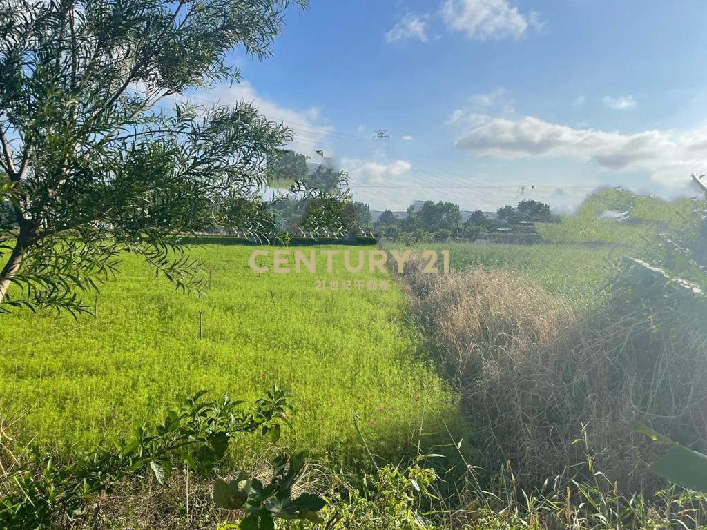 楊湖路415坪美田