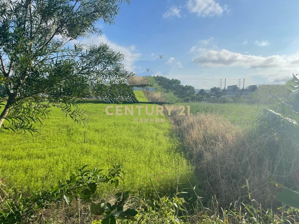 楊湖路415坪美田