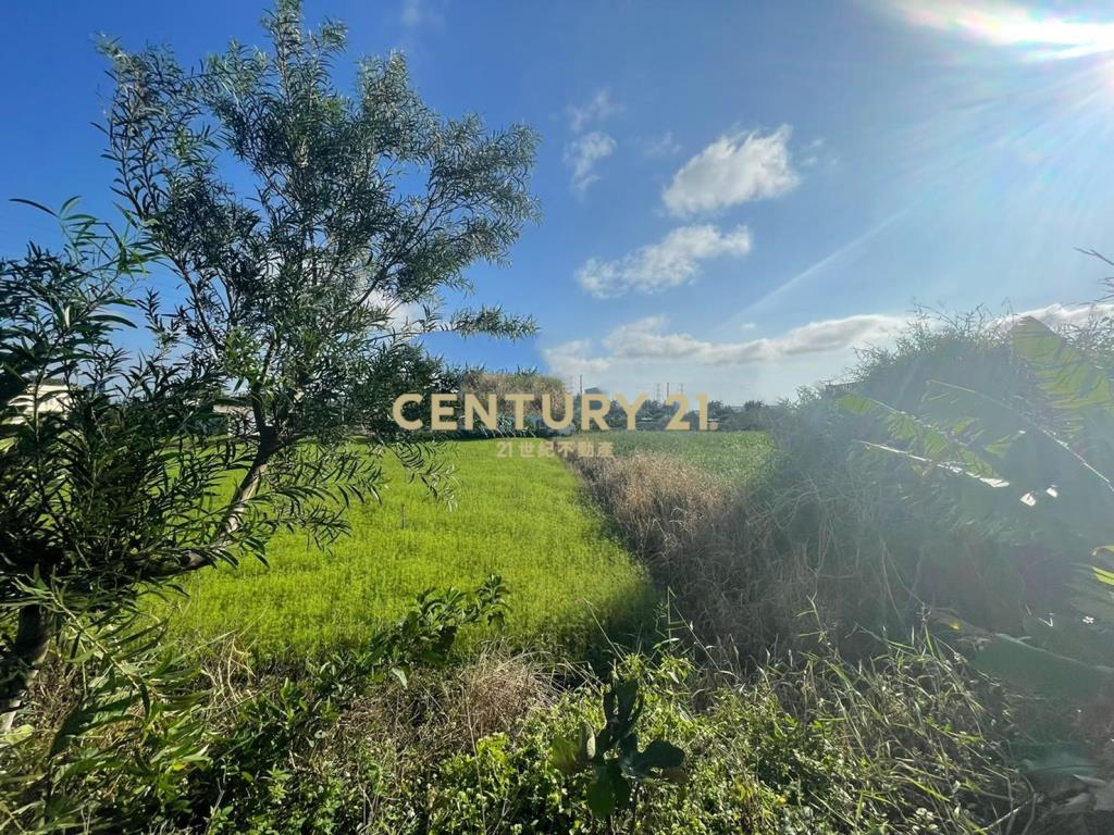 楊湖路415坪美田
