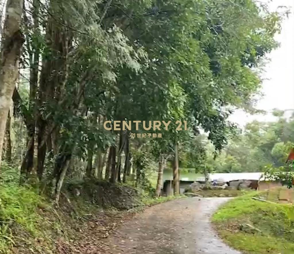 橫山休閒農地1781坪