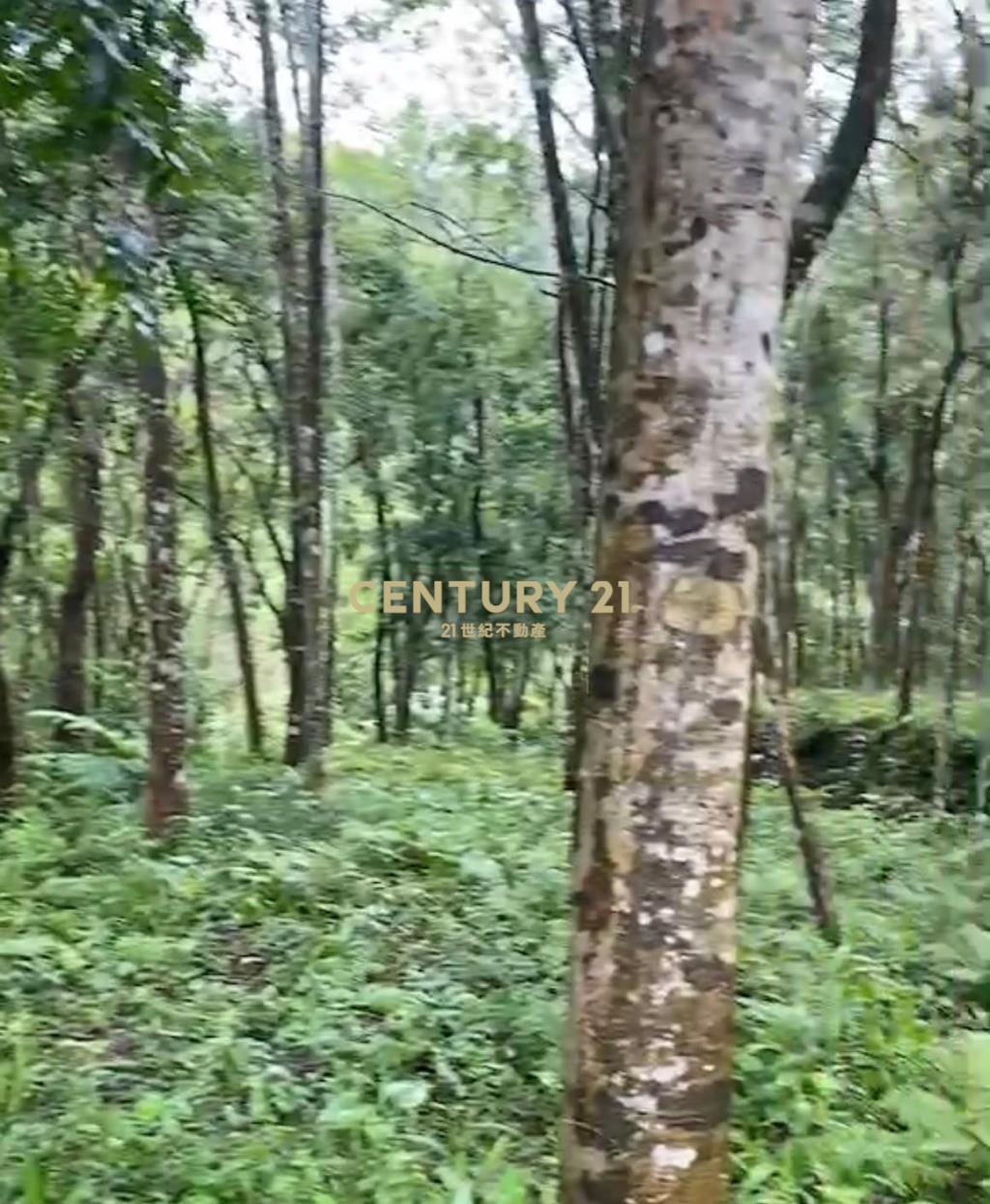 橫山休閒農地1781坪