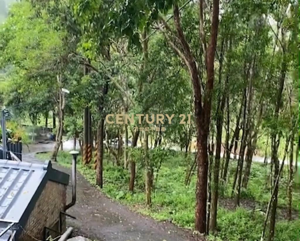 橫山休閒農地1781坪