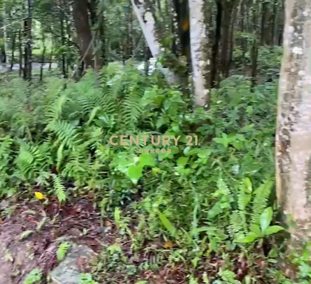 橫山休閒農地1781坪