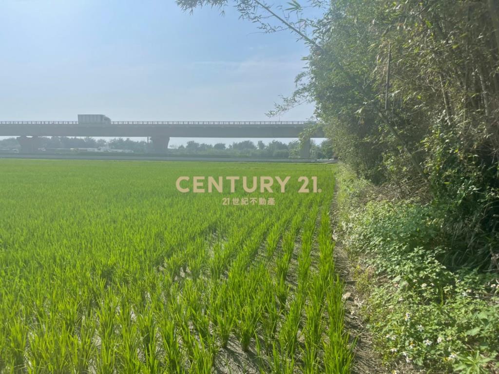 新屋一般農業區 田1210坪