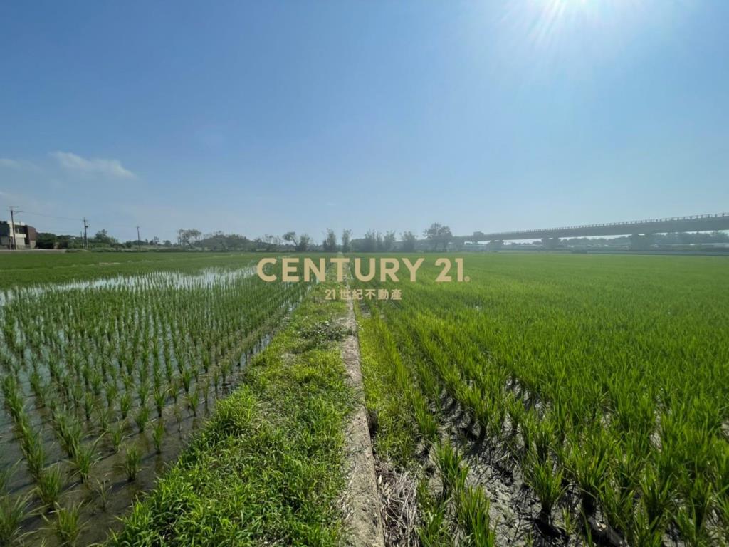 新屋一般農業區 田1210坪