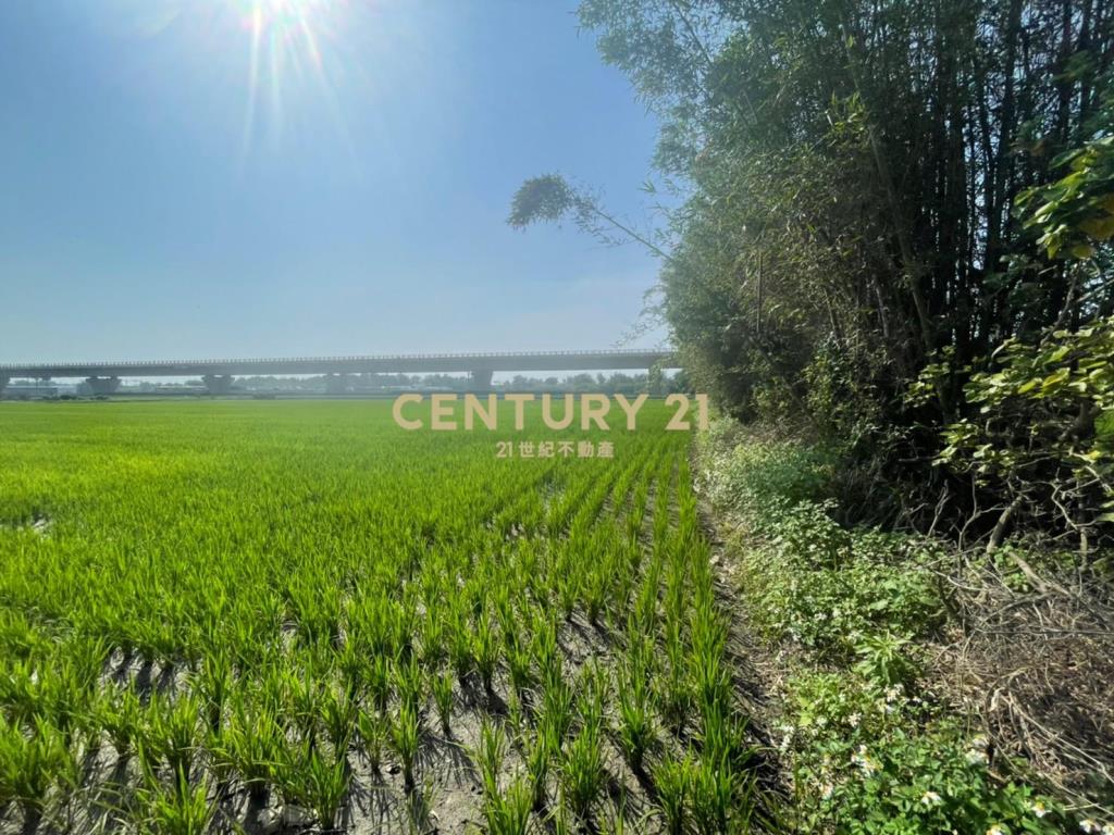 新屋一般農業區 田1210坪