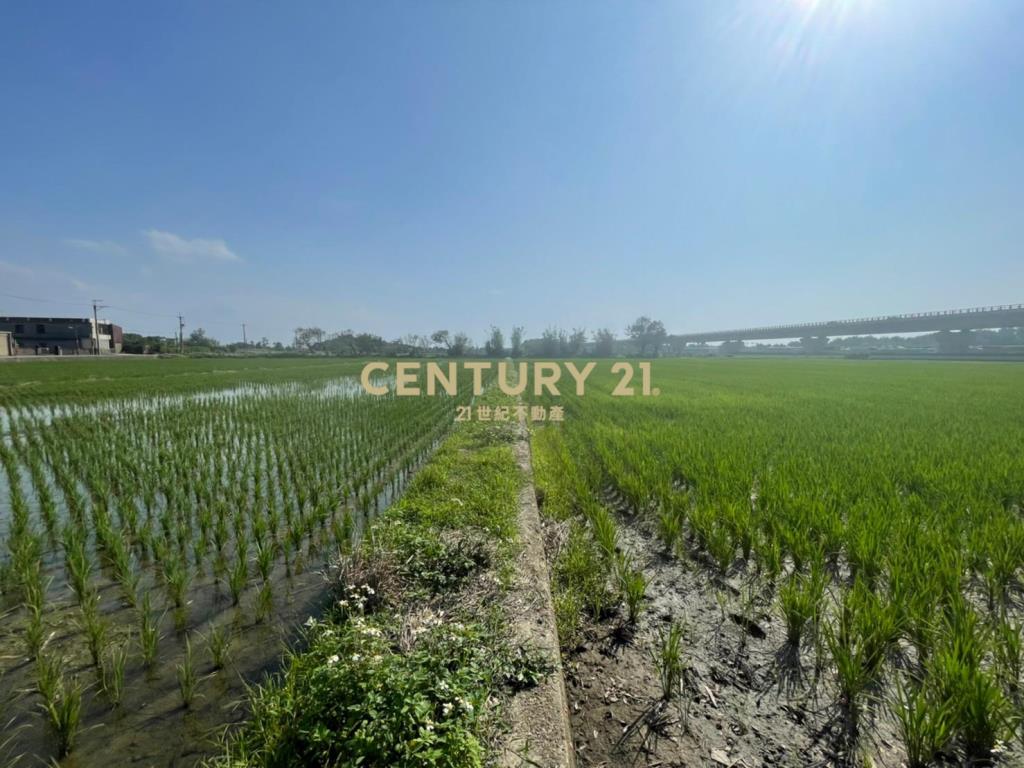 新屋一般農業區 田1210坪