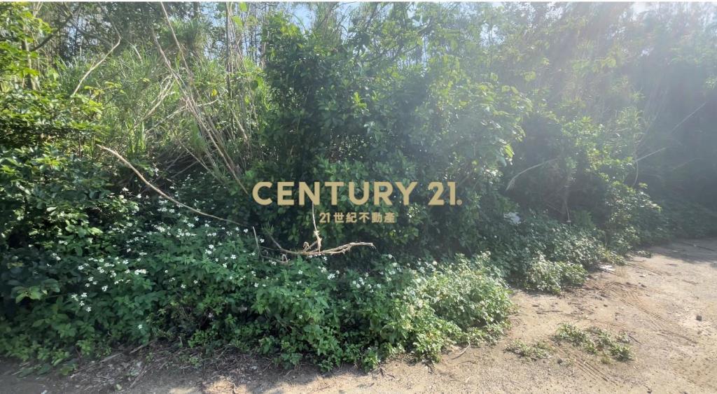 新屋一般農業區田1361坪