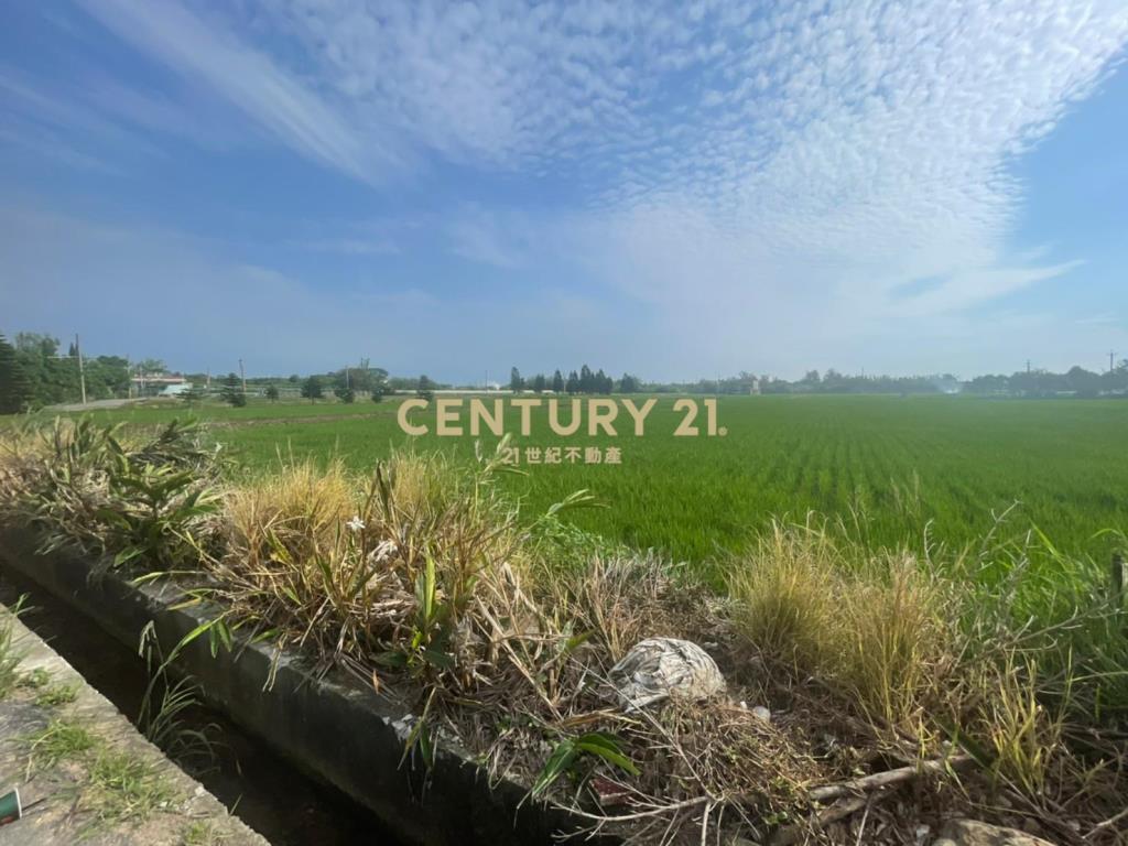 新屋一般農業區田1210坪(2)