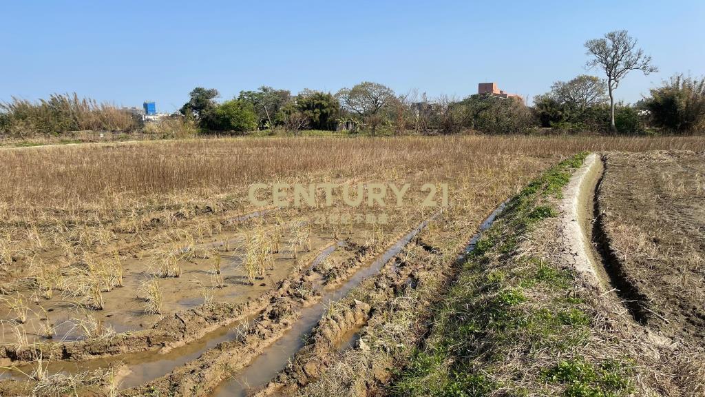 都計內農地756坪