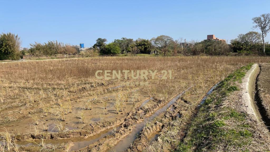 都計內農地756坪