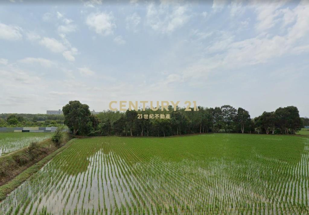 楊梅便宜農地1864坪