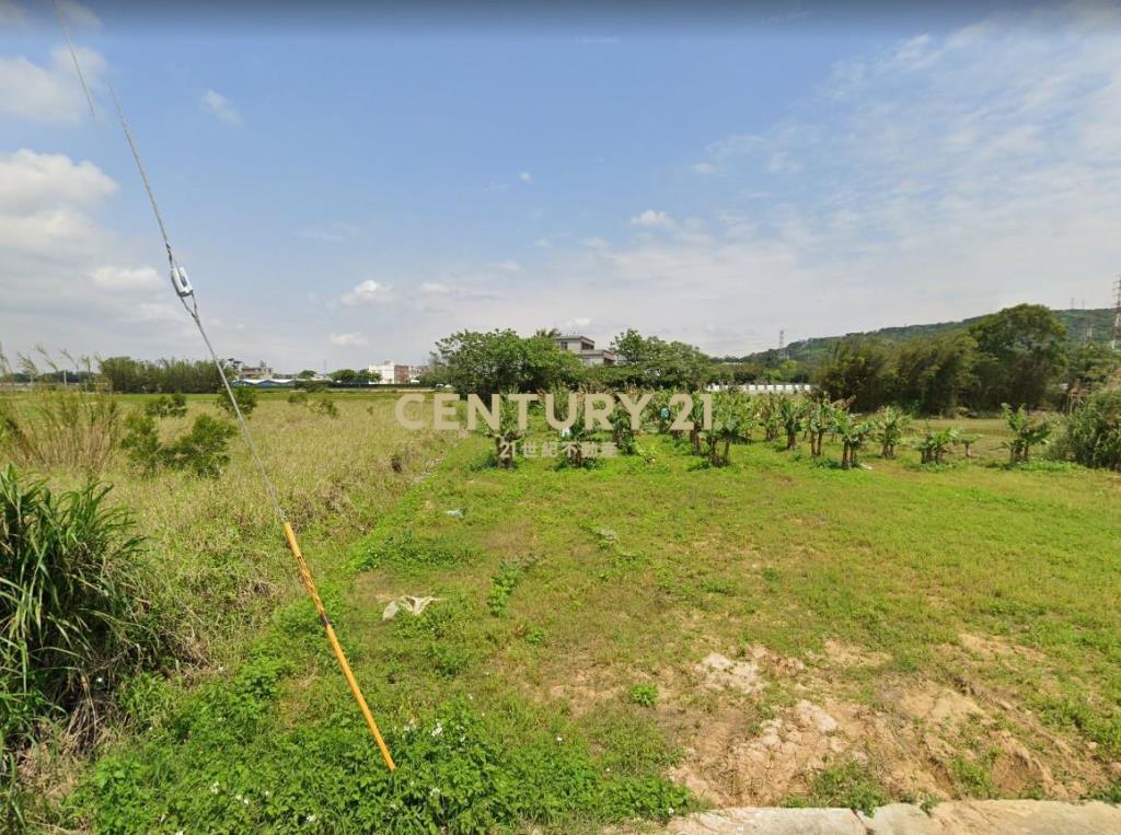 都計內農地294坪