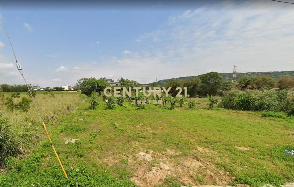 都計內農地294坪