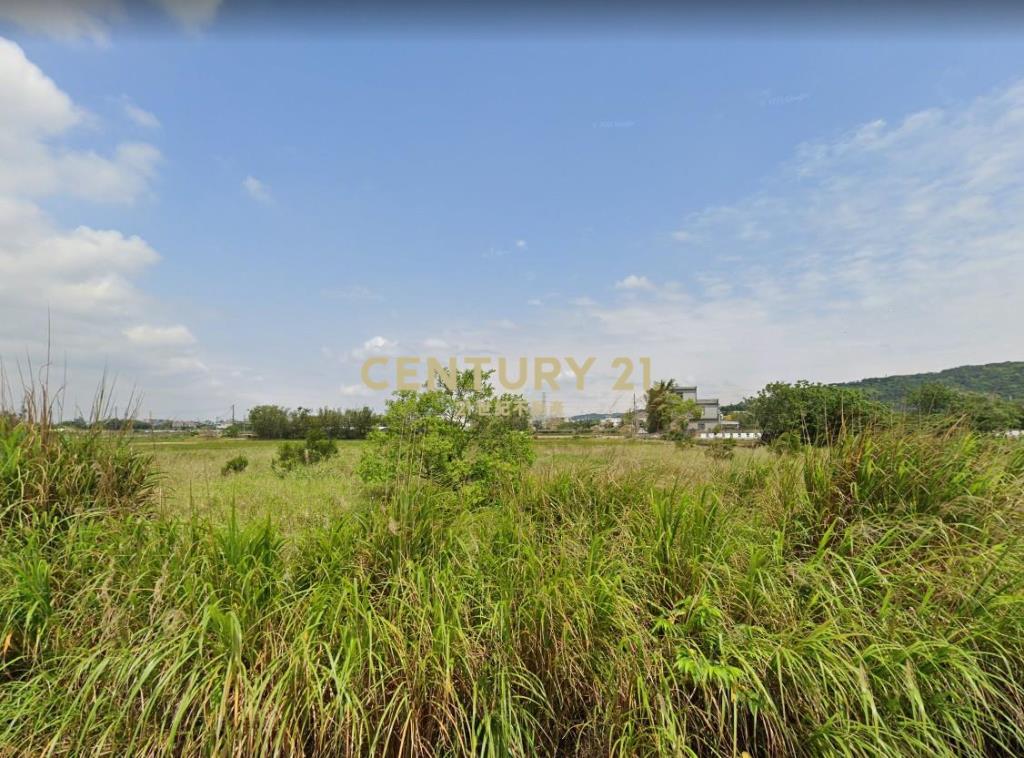 都計內農地294坪