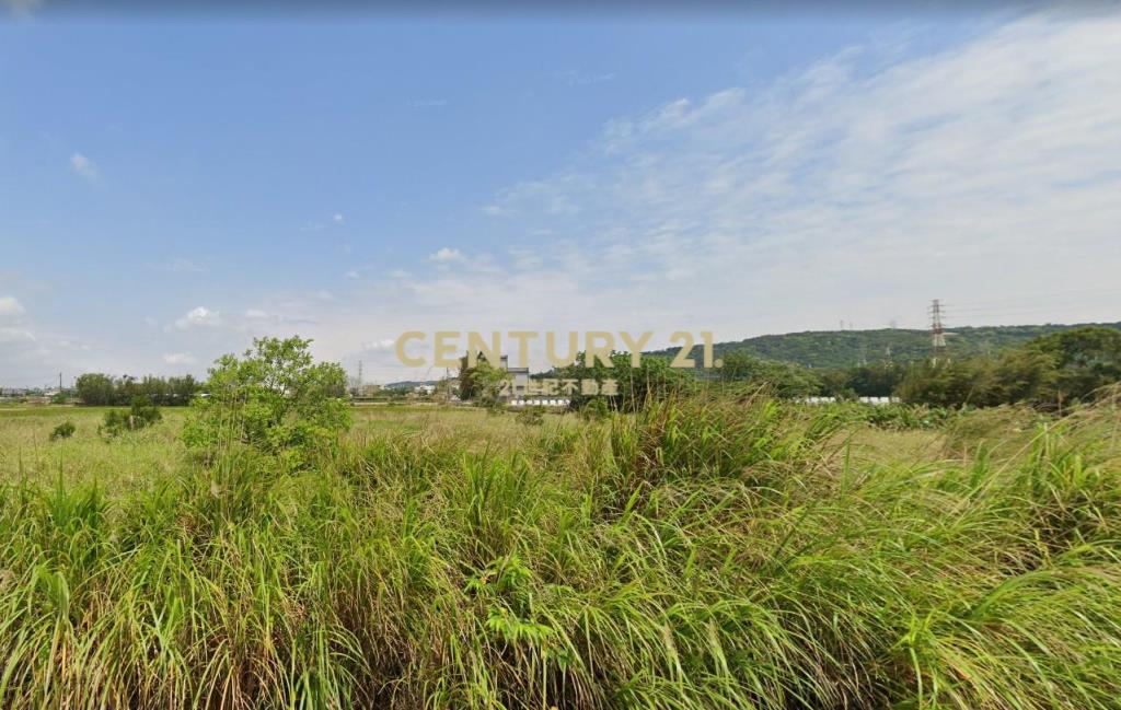 都計內農地294坪