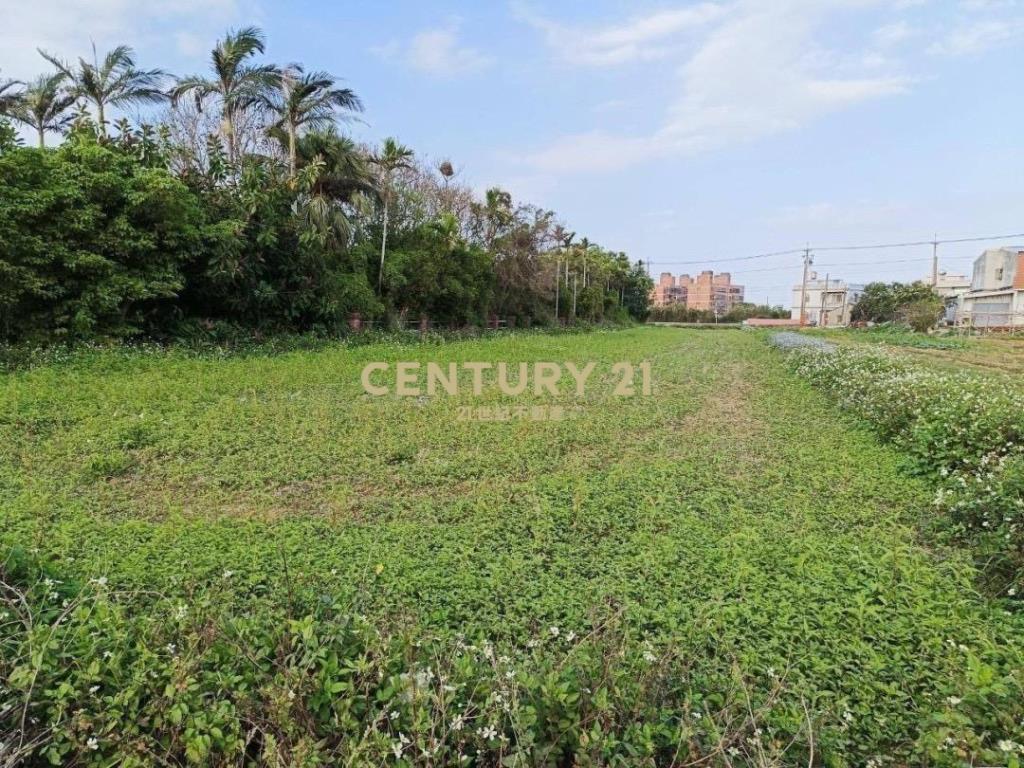 觀音藍埔段美農地437坪