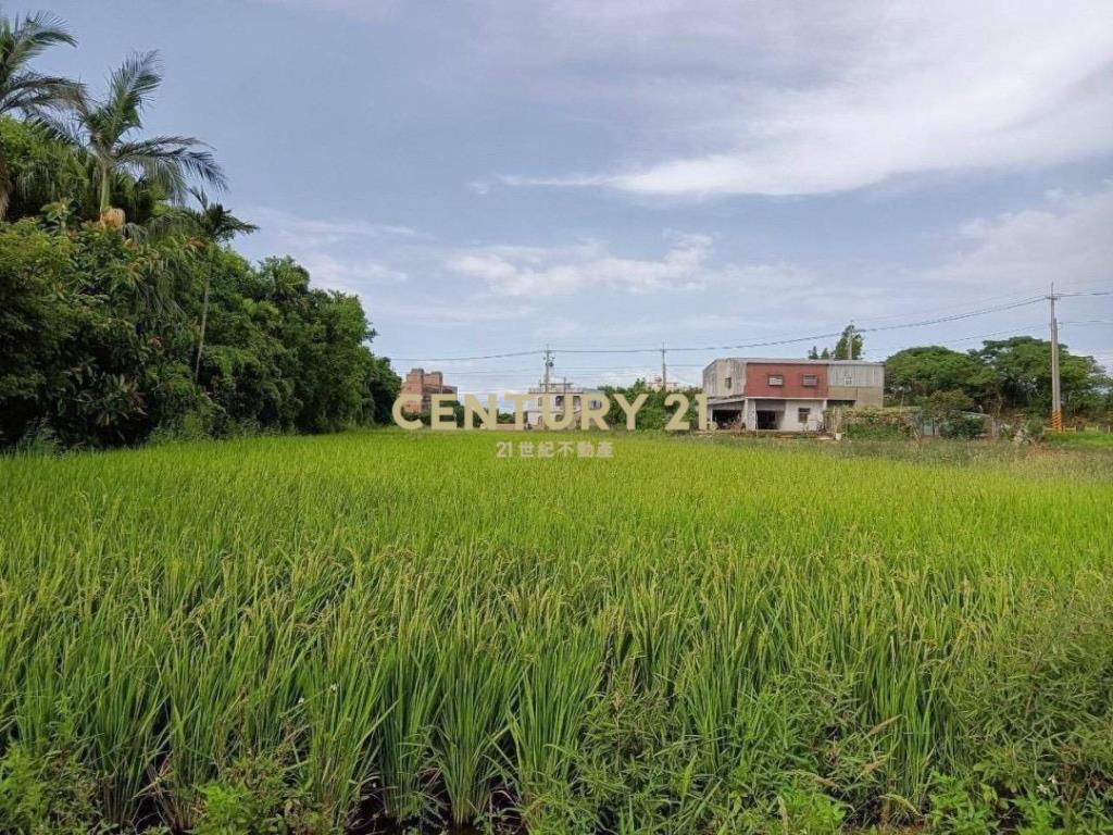 觀音藍埔段美農地437坪