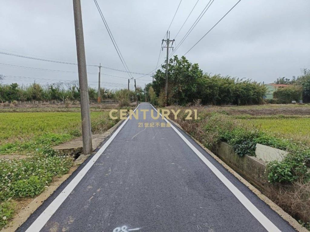 觀音藍埔段美農地437坪