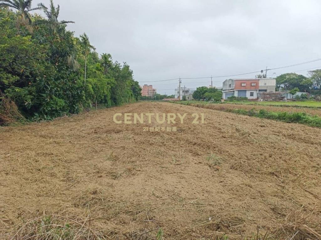 觀音藍埔段美農地437坪
