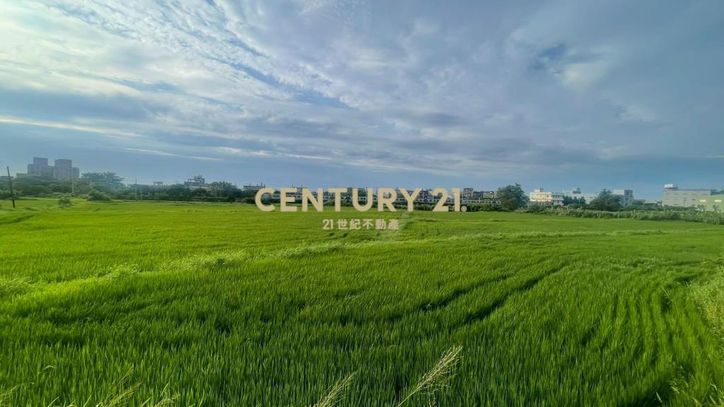 近王爺壟美田1329坪