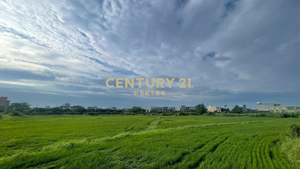 近王爺壟美田1329坪