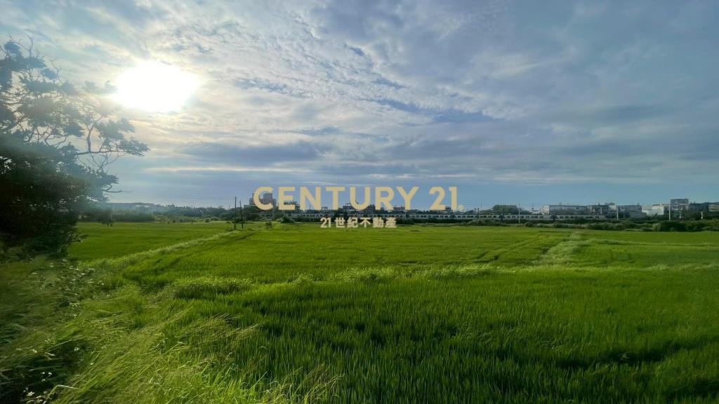 近王爺壟美田1329坪