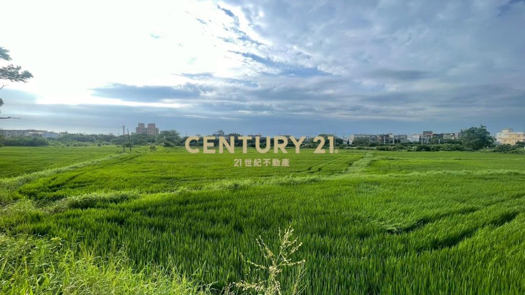 近王爺壟美田1329坪