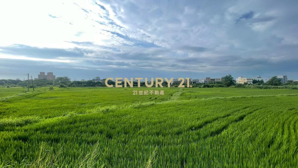 近王爺壟美田1329坪