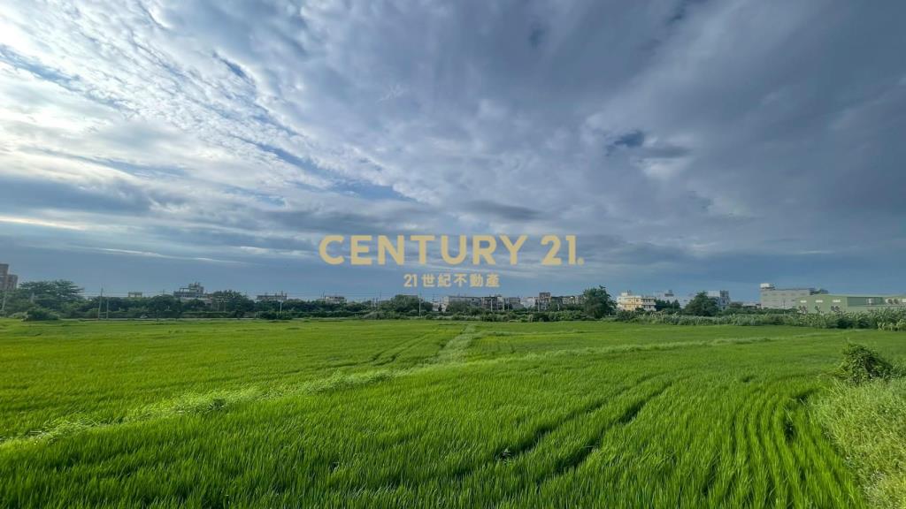 近王爺壟美田1329坪