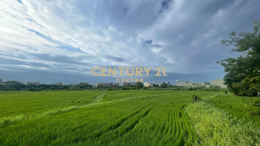 近王爺壟美田1329坪